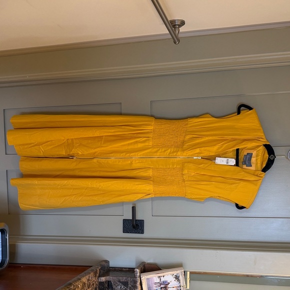 Anthropologie Dresses & Skirts - Anthropologie Mustard Midi Dress Medium Petite